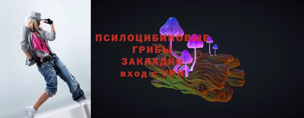 винт Аркадак