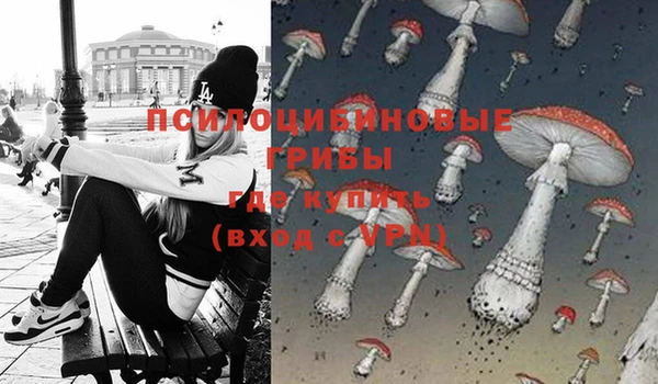 винт Аркадак