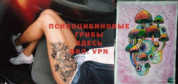 винт Аркадак