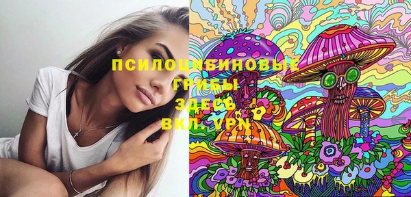 винт Аркадак